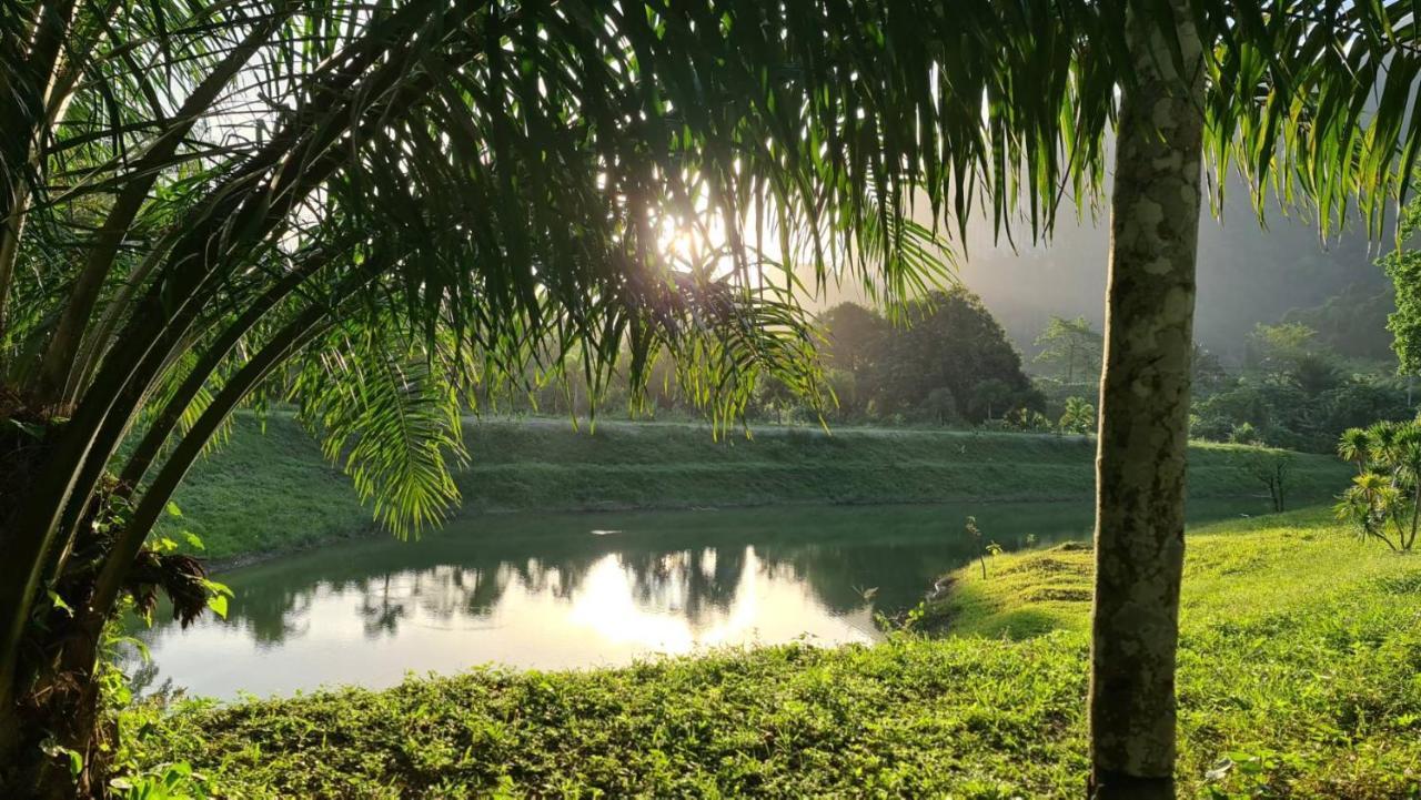 Phu Siab Mhok@Khaosok Hotel Khao Sok National Park Екстериор снимка